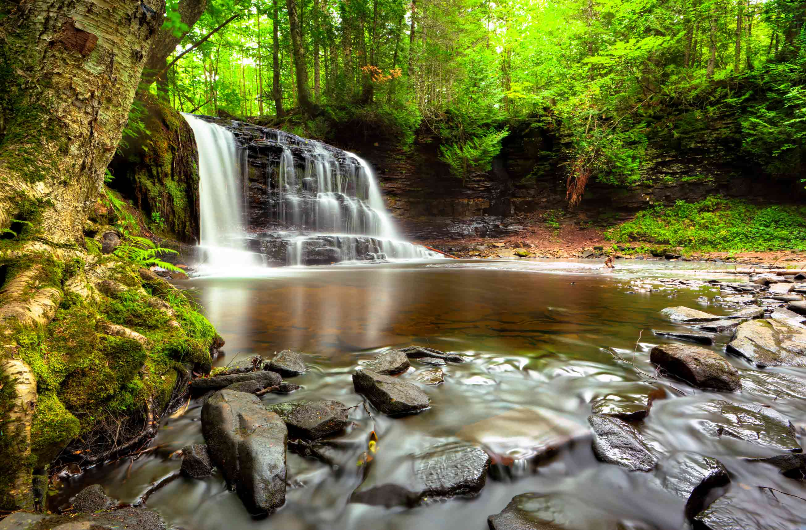 Zappier Package Created Edited (Paid Paypal)